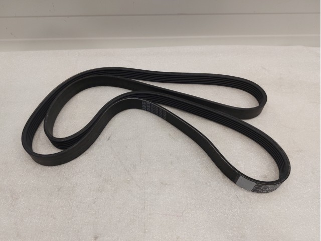 Serpentine Belt